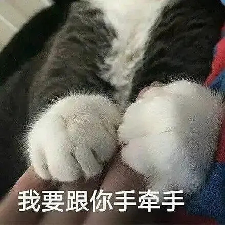 画线打架王