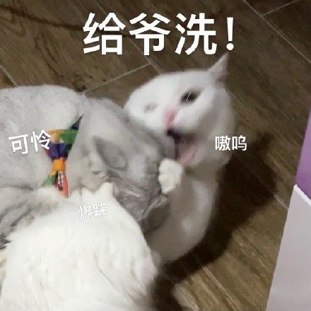 狩猎冲突2020